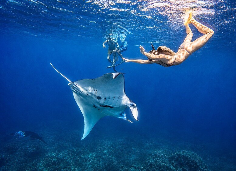 Picture 23 for Activity From Bali: Nusa Penida 3 Spots Snorkeling Tour & West Island 4