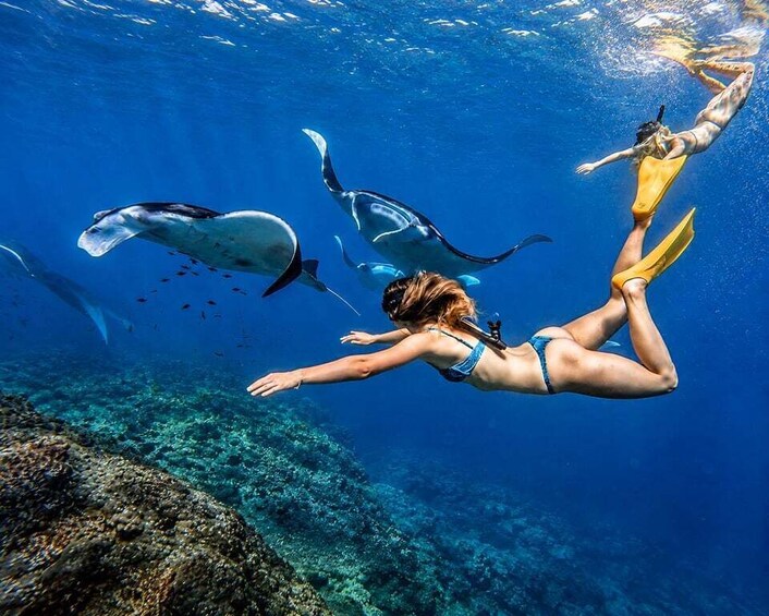 From Bali: Nusa Penida 3 Spots Snorkeling Tour & West Island 1