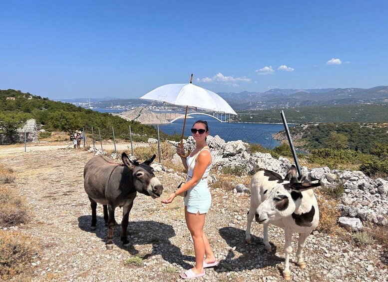 Picture 25 for Activity Immortelle Farm Tour with Donkeys and Distillery 2