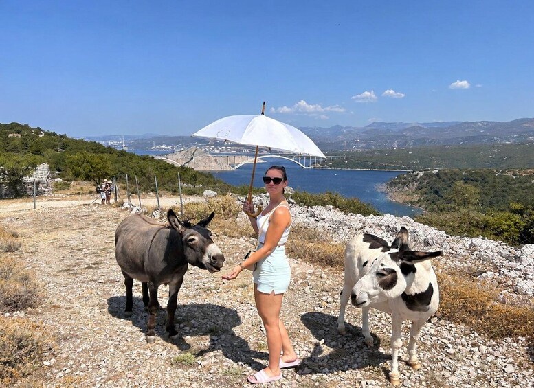 Immortelle Farm Tour with Donkeys and Distillery 1
