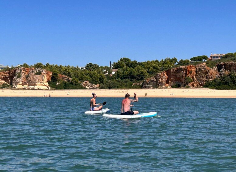 Two people kayaking on a calm sea with a beach and rocky cliffs in the background. 3