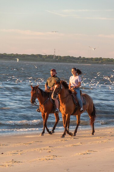 Two people riding horses along a beach with seagulls flying overhead and a body of water in the background. 3