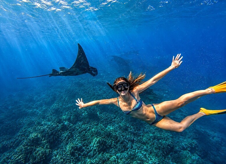 Picture 11 for Activity Nusa Penida: 3-Spot Snorkeling With Manta & West Island Tour 2