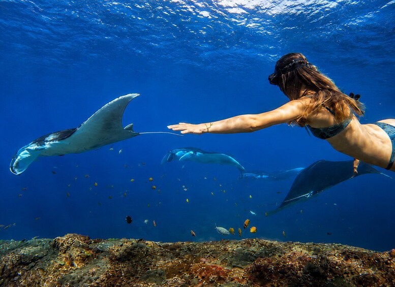 Picture 10 for Activity Nusa Penida: 3-Spot Snorkeling With Manta & West Island Tour 3