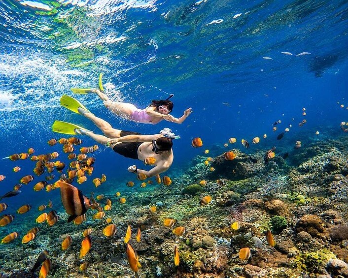 Picture 14 for Activity Nusa Penida: 3-Spot Snorkeling With Manta & West Island Tour 5