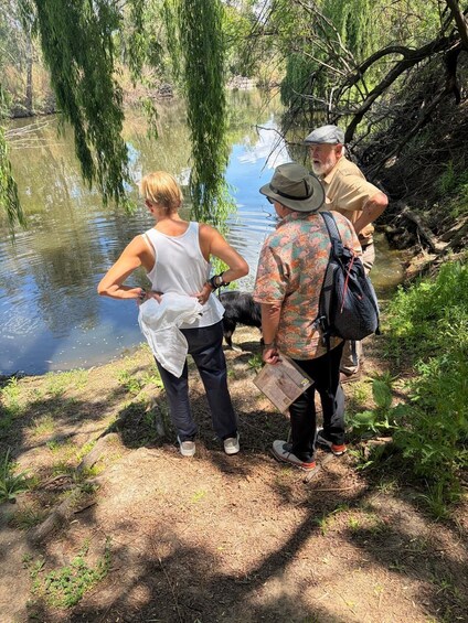Picture 1 for Activity Joburg: Vredefort Dome World Heritage Site Full-Day Tour 2