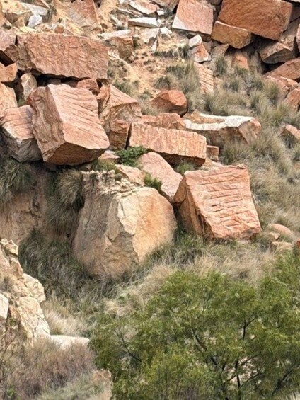 Picture 4 for Activity Joburg: Vredefort Dome World Heritage Site Full-Day Tour 3