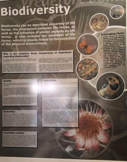 A biodiversity poster with sections on birdlife, butterflies, vegetation, and amphibian studies. 3