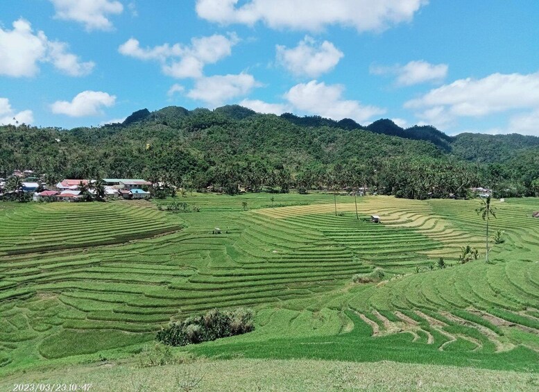 Bohol Candijay Rice Terraces, Water Falls & Anda Beach 2