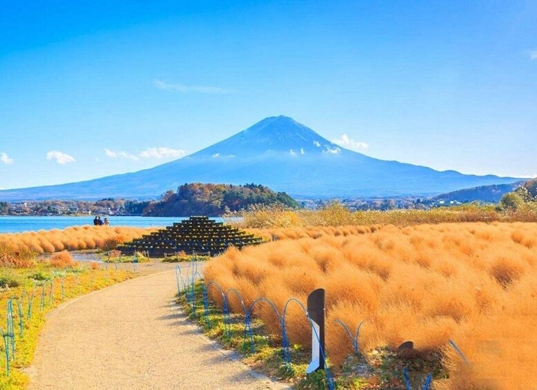 A pathway leading to a stack of logs, a mountain in the background, and a body of water. 4