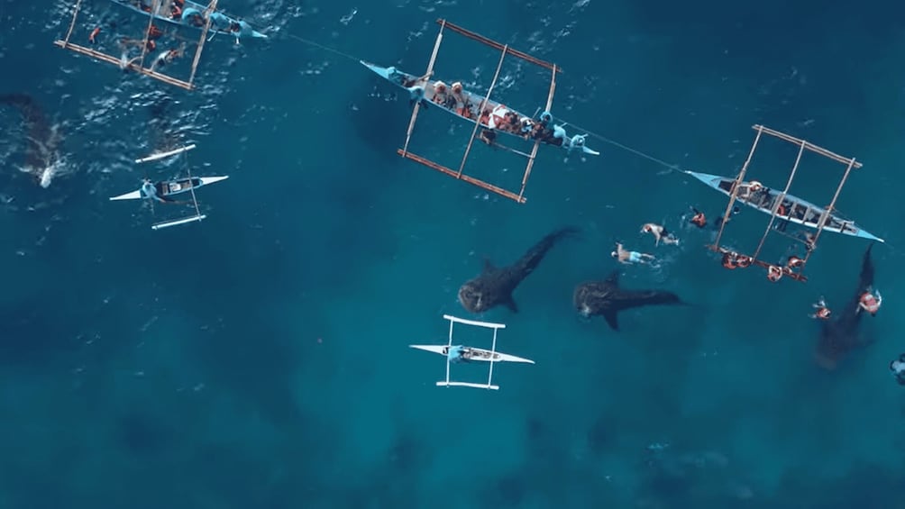 A group of people on a boat in the ocean, surrounded by other boats. 3