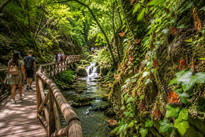 A wooden bridge over a stream in a lush forest with people walking and butterflies on the trees. 5