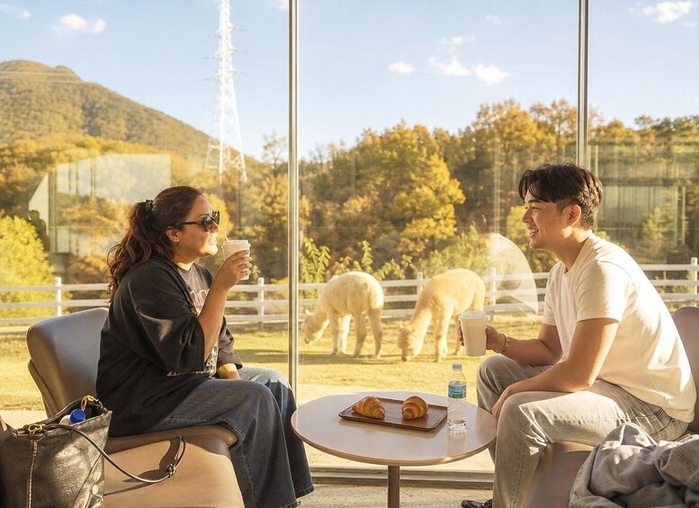 Two people sitting at a table with a mountain and grazing sheep in the background. 5