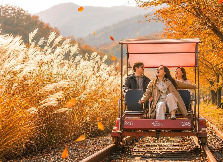 A vintage train car with the number 245 on the side, traveling on tracks surrounded by tall grasses and trees with autumn leaves. 2