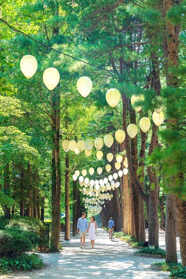 A pathway lined with trees and decorated with hanging lanterns. 4