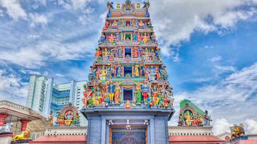 Picture 62 for Activity Singapore: Private 3-4-6-8 Hour Customized Singapore Tour 4