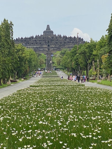 A pathway lined with white flowers leading to a temple with a tiered roof. 2