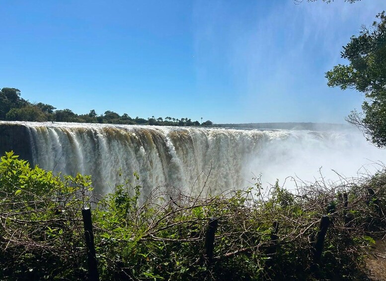 A large waterfall with a forested area in the foreground and a clear sky in the background. 4