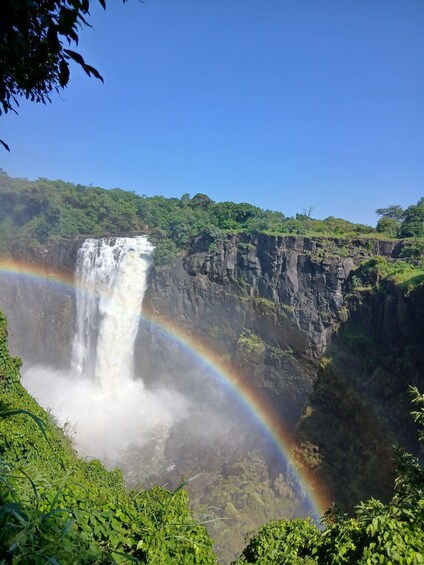 A waterfall with a rainbow, surrounded by lush greenery and rocky cliffs. 4