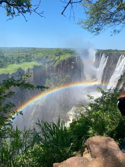 A waterfall with a rainbow, surrounded by greenery and rocks. 5