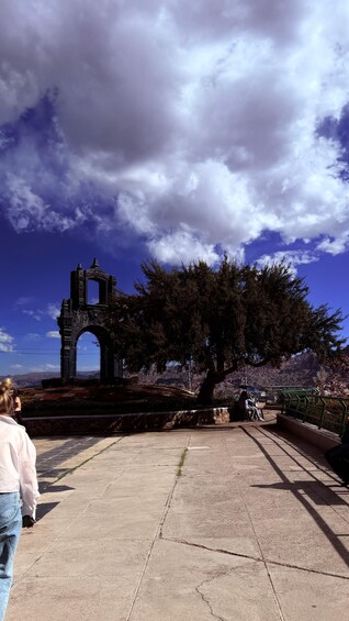 A large tree in a park with a stone structure in the background. 3