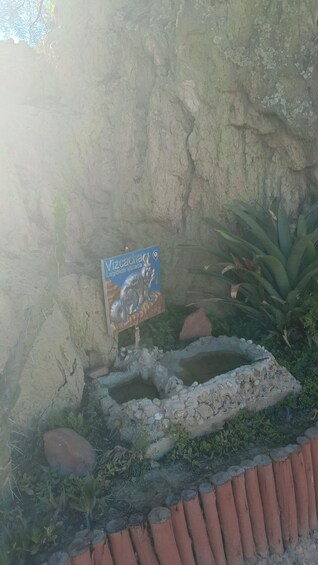 Picture 15 for Activity Discover La Paz: Panoramic Bus Tour, Cable Car & Moon Valley 4