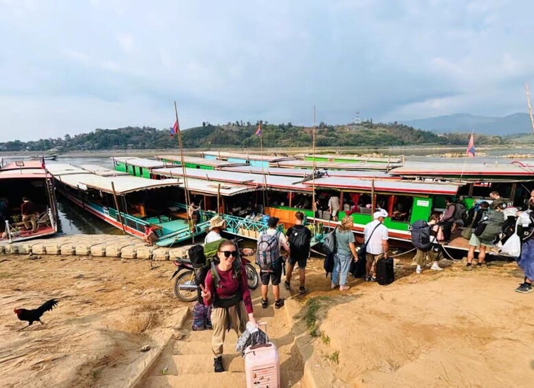 A ferry terminal with multiple boats docked, passengers boarding, and a rooster on the ground. 5