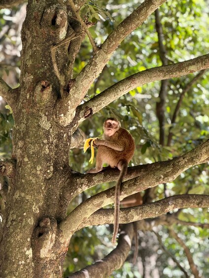 Picture 19 for Activity Khao Lak: James Bond Island, Canoeing, Ancient Cave Temple 3