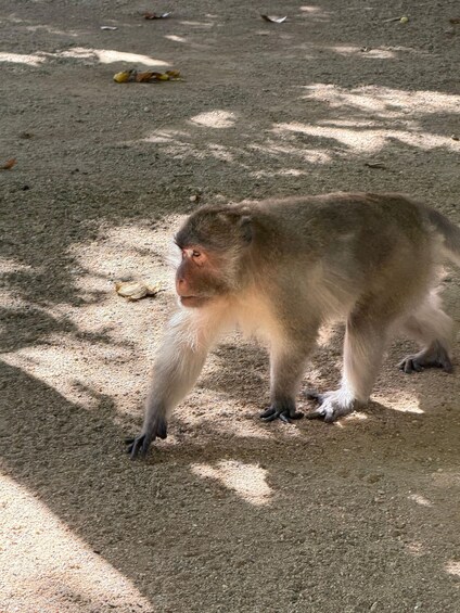 Picture 17 for Activity Khao Lak: James Bond Island, Canoeing, Ancient Cave Temple 5