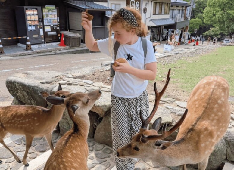 Picture 19 for Activity Nara: Kasuga Taisha, Sacred Deer Shrine Guided Tour 2
