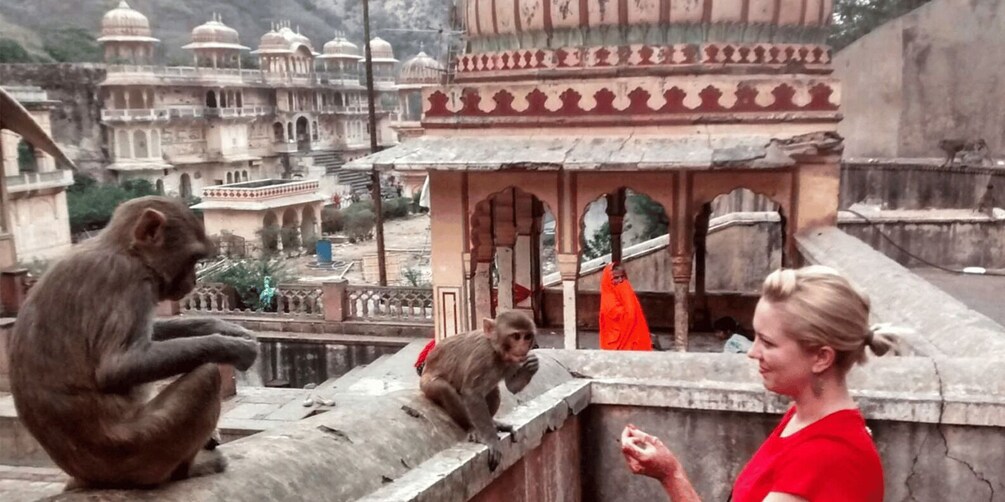 Un mono sentado en un alero, una persona vestida de rojo y un edificio tradicional al fondo. 1