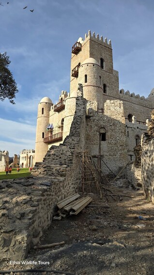 A medieval castle with stone walls and a tower. 2