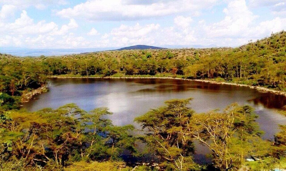 Picture 7 for Activity Crater Lake Game Sanctuary and Lake Naivasha Day Trip 1