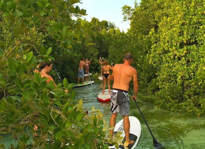 Picture 6 for Activity Zanzibar: SUP Tour and Lunch Stop at The Rock Restaurant 2