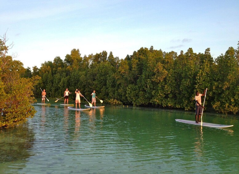 Picture 8 for Activity Zanzibar: SUP Tour and Lunch Stop at The Rock Restaurant 4