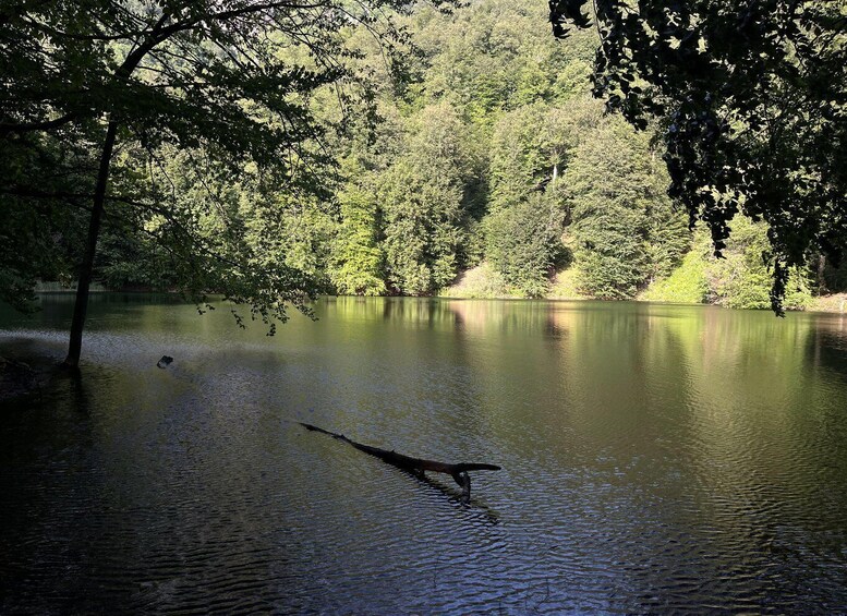 Picture 6 for Activity İsmayilli: Lake Qaranohur 2-Day Camping Trip with Games 2