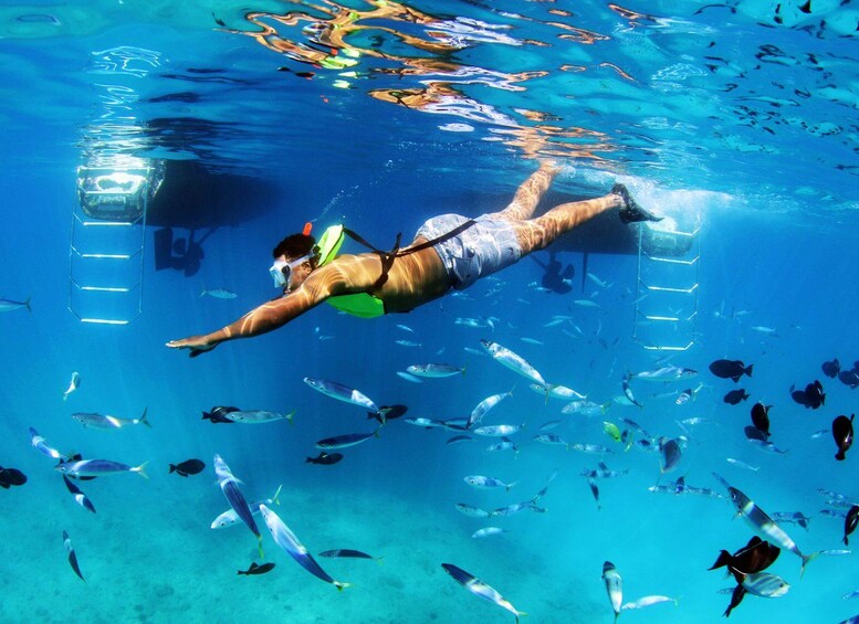 Oahu: 3 Zipline & All Inclusive Dolphin Watch Snorkel Cruise 1