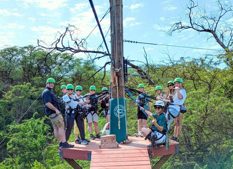 Picture 19 for Activity Oahu: 3 Zipline & All Inclusive Dolphin Watch Snorkel Cruise 3