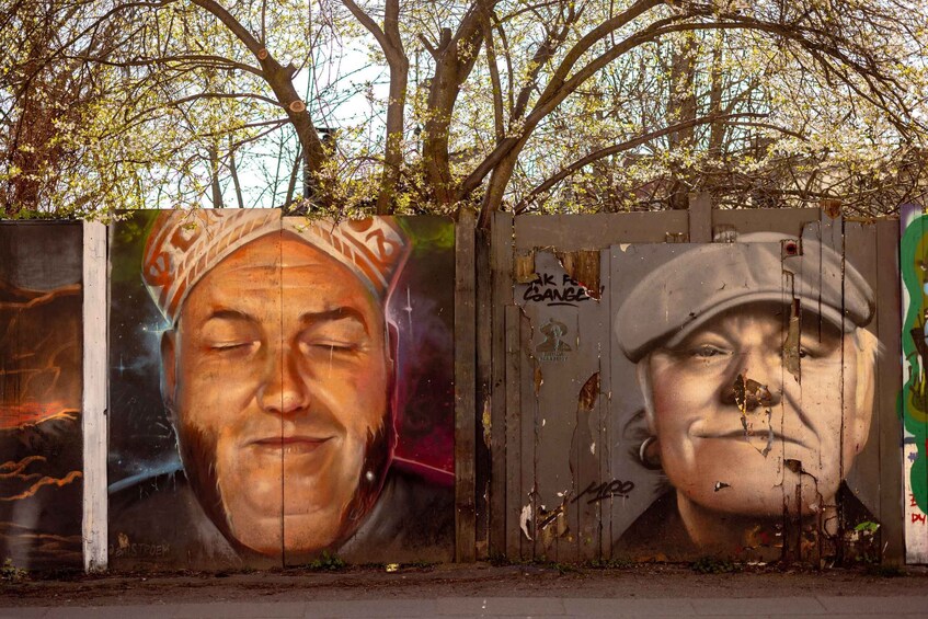 A mural on a fence with trees in the background. 3
