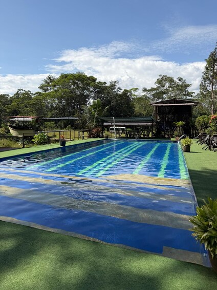A swimming pool with a blue and green pattern, surrounded by green artificial grass, trees, and a covered seating area. 3