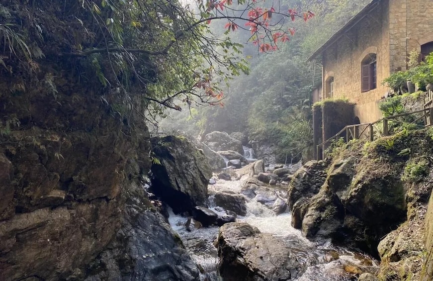 A rocky stream flowing through a forested area with a stone building on the right. 2
