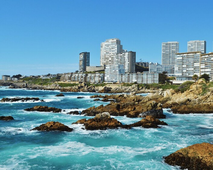 Picture 3 for Activity Valparaíso & Vina del Mar for Cruise Passengers in Private 4