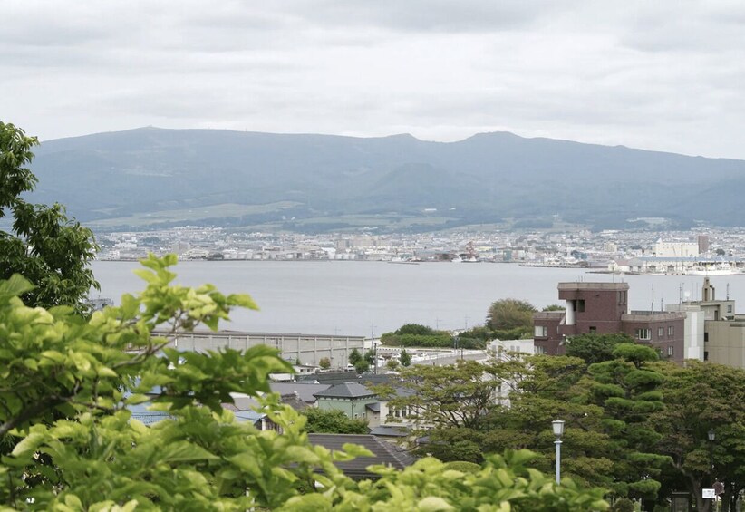 A coastal cityscape with mountains in the background, a body of water, and greenery in the foreground. 4