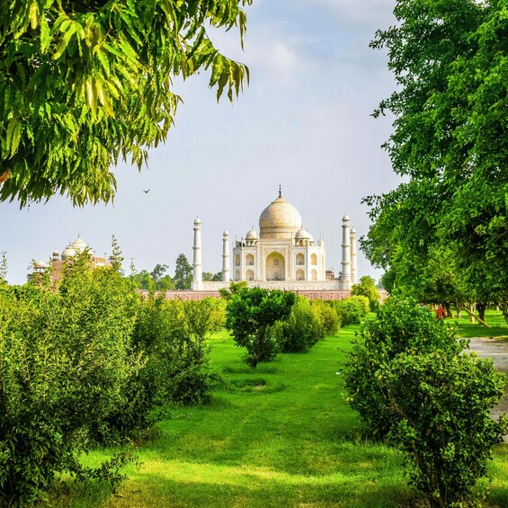The Taj Mahal surrounded by lush greenery and a clear sky. 1