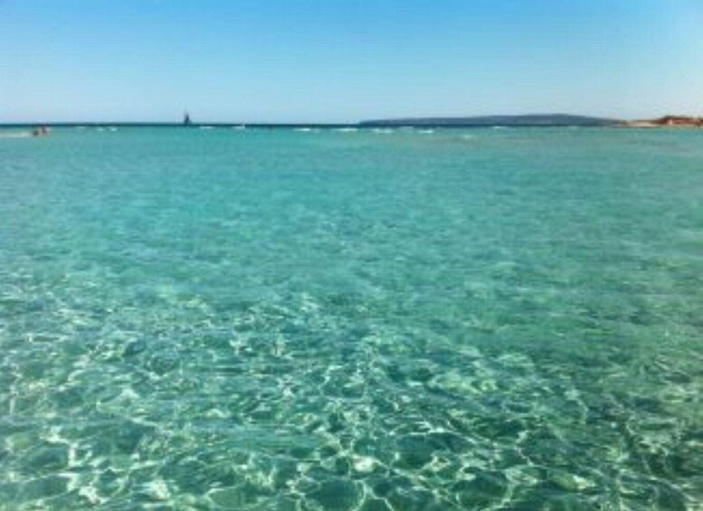 Clear turquoise water with visible seabed and a distant shoreline. 1