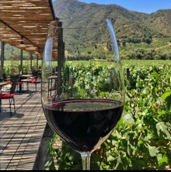 Picture 30 for Activity Colchagua Valley & Apalta Private Wine Tour Experience 2