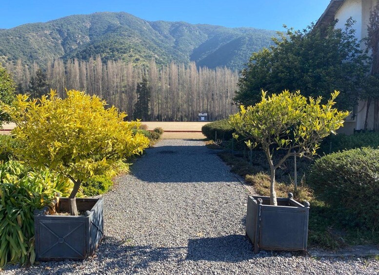 A gravel path leading to a building with a mountain backdrop. 5