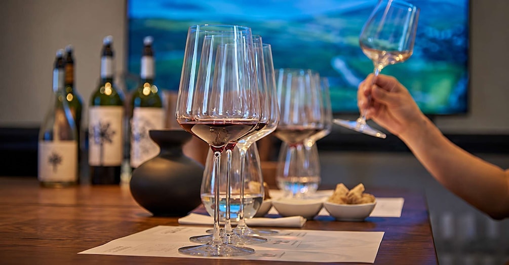 Private Wine Journey Through Colchagua Valley 1