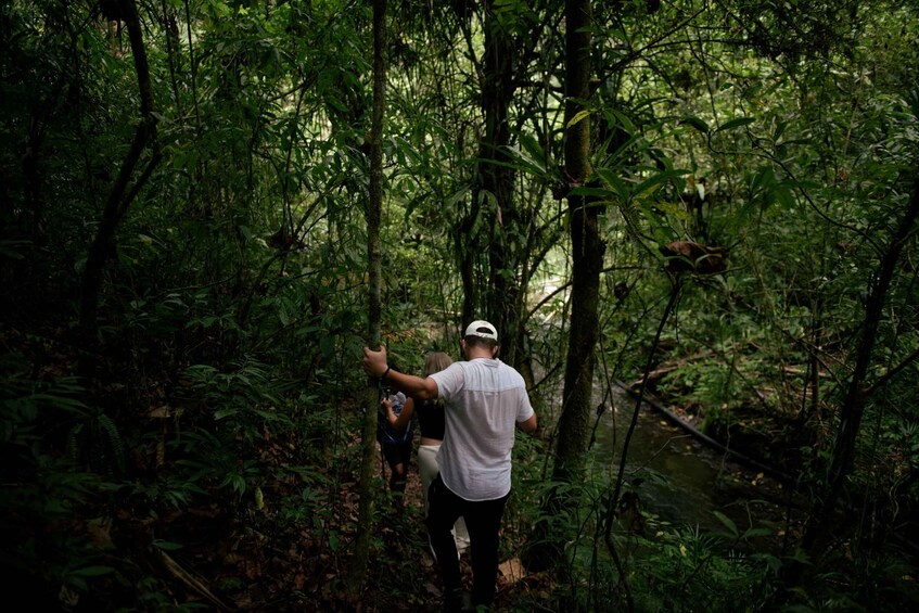 Picture 19 for Activity Munduk: Explore 5 Hidden Waterfalls on a Jungle Trek 3