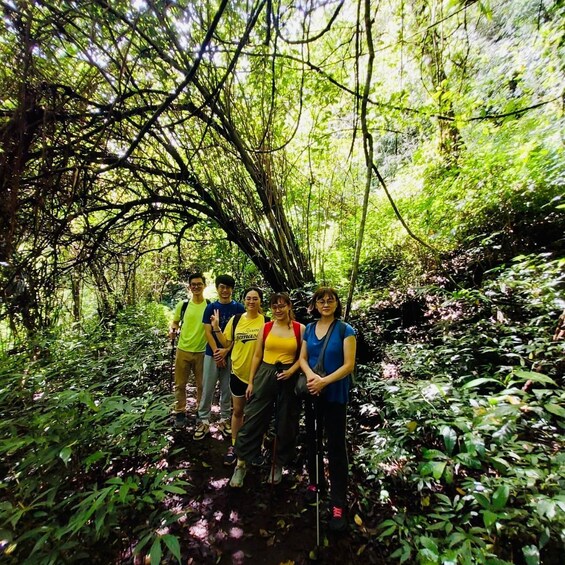 A group of people standing on a forest path surrounded by dense greenery and trees. 5